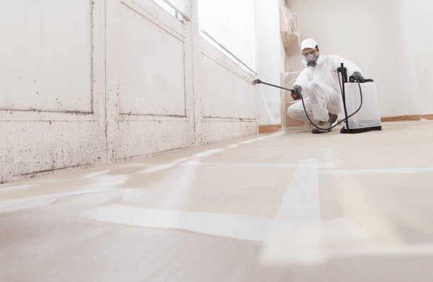 24/7 Emergency Black Mold Remediation experts in Dublin, TX